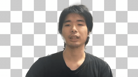 demo.gif