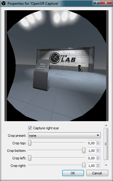 OBS_OpenVR_InputPlugin1.png